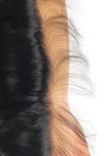 13x4 HD Deep Wave Lace Frontal Virgin Hair Pre-plucked for Wig Making - Image 3