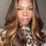 13x6 HD Lace Brown with Highlight Wave Wigs-HD15